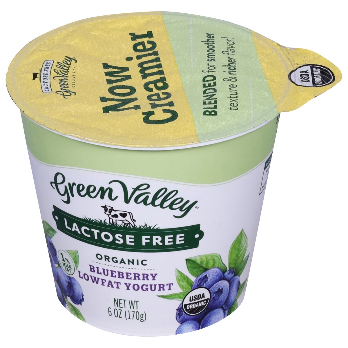 slide 8 of 9, Green Valley Organics Green Valley Blueberry Lactose Free Yogurt, 6 oz