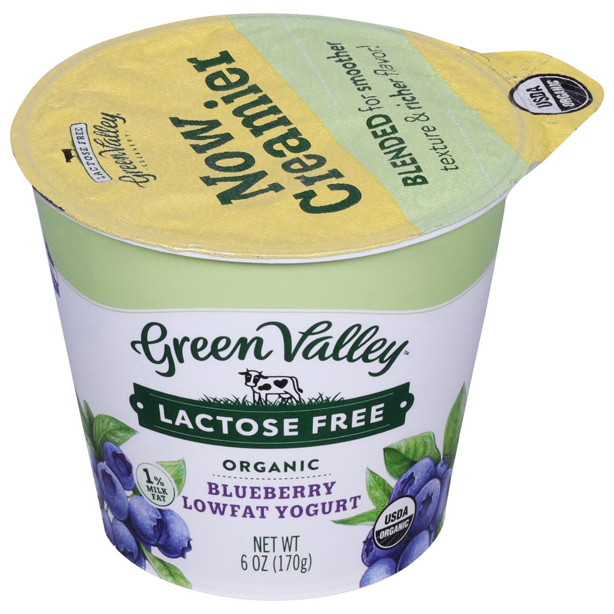 slide 1 of 9, Green Valley Organics Green Valley Blueberry Lactose Free Yogurt, 6 oz