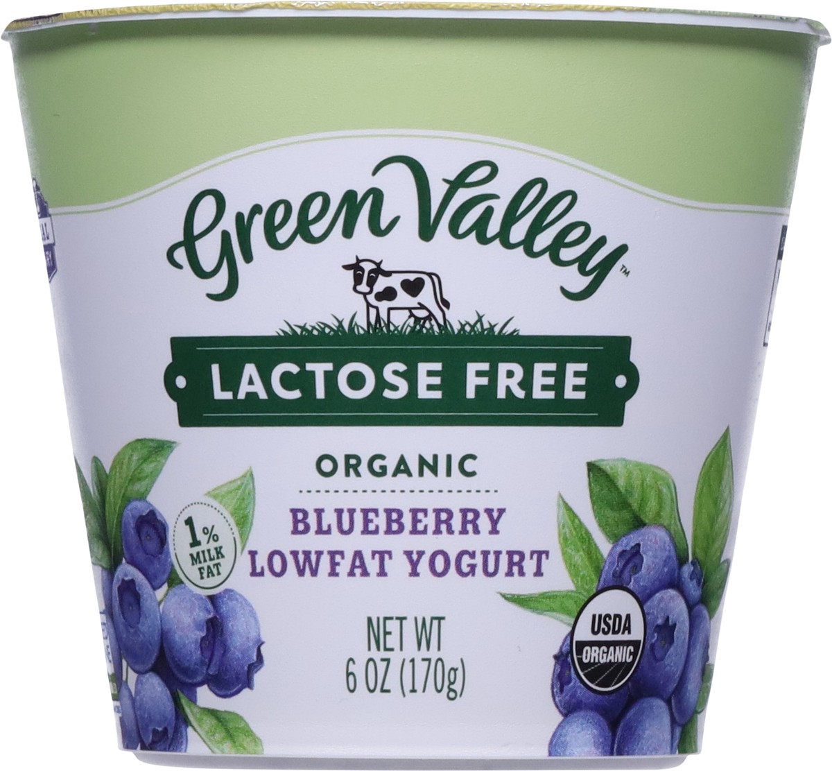 slide 4 of 9, Green Valley Organics Green Valley Blueberry Lactose Free Yogurt, 6 oz