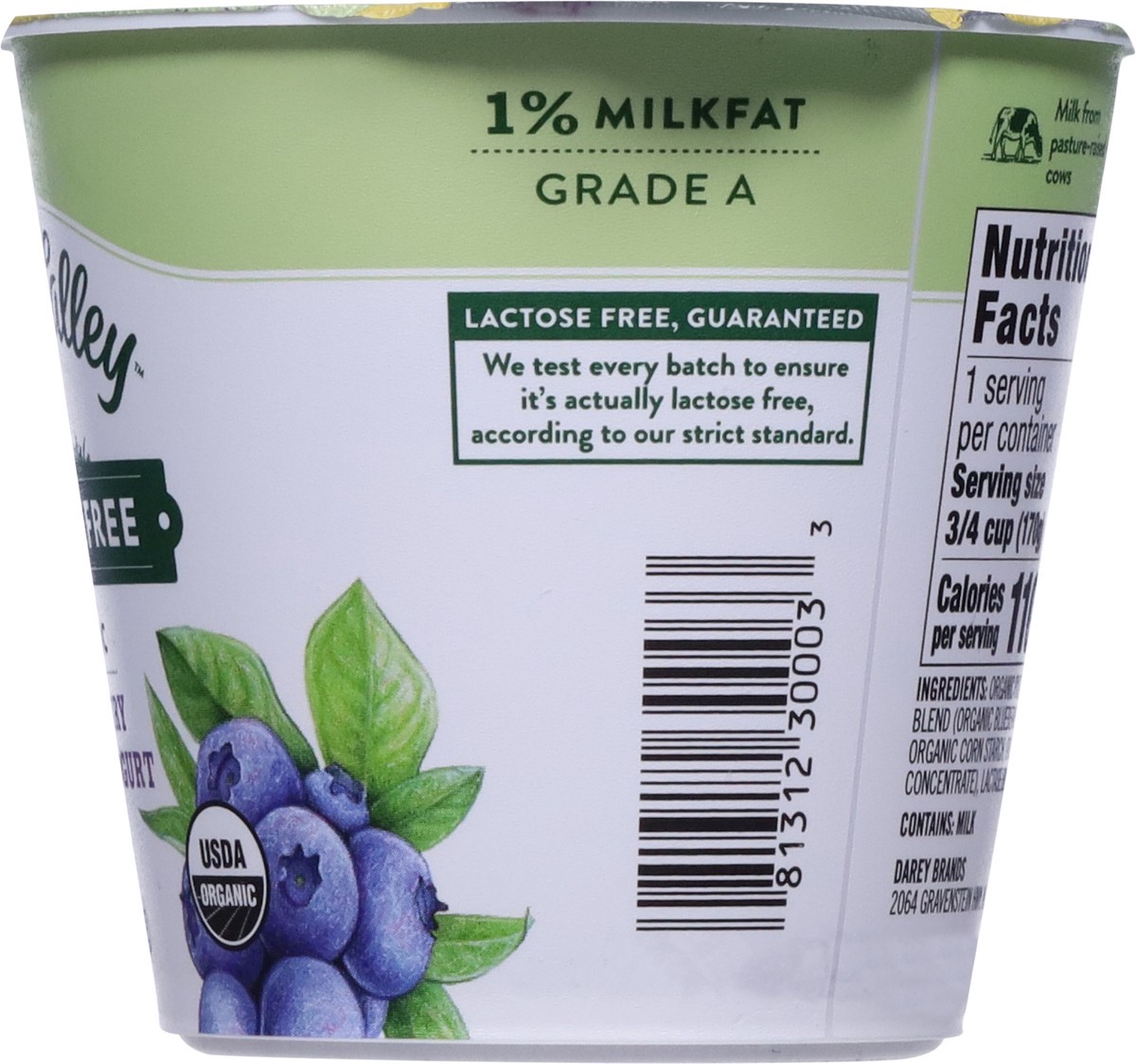 slide 5 of 9, Green Valley Organics Green Valley Blueberry Lactose Free Yogurt, 6 oz