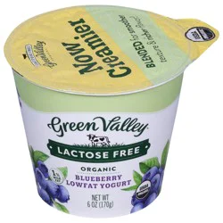 Green Valley Organics Lactose Free Lowfat Organic Blueberry Yogurt 6 oz