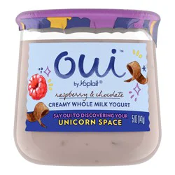Oui by Yoplait Raspberry Chocolate Chip French Style Yogurt, 5 OZ