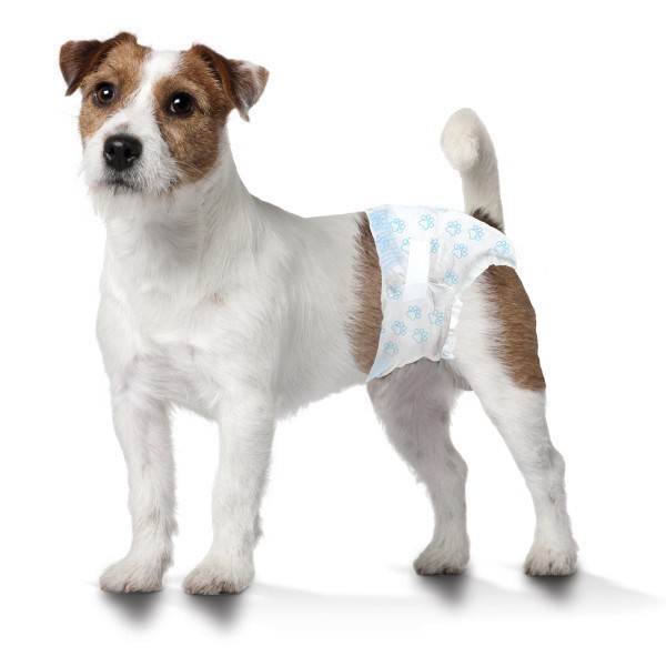 slide 1 of 3, Four Paws Wee-Wee Disposable Dog Diapers, 12 ct