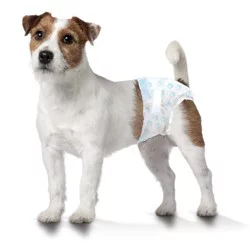 Four Paws Fragrance Free Wee-Wee Disposable Dog Diapers - 12ct - S