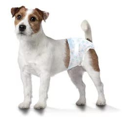 Four Paws Wee-Wee Disposable Dog Diapers