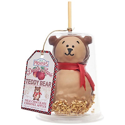 slide 1 of 1, Moyer's Teddy Bear with Milk Chocolate and Caramel Apple, 17 oz