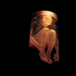 Alice In Chains, Nothing Safe: Best Of Cd