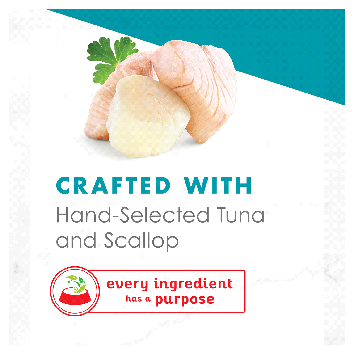 slide 2 of 5, Fancy Feast Purina Fancy Feast Appetizers Lickable Grain Free Wet Cat Food Topper Light Meat Tuna Appetizer with Scallop - 1.1 oz. Tray, 1.1 oz