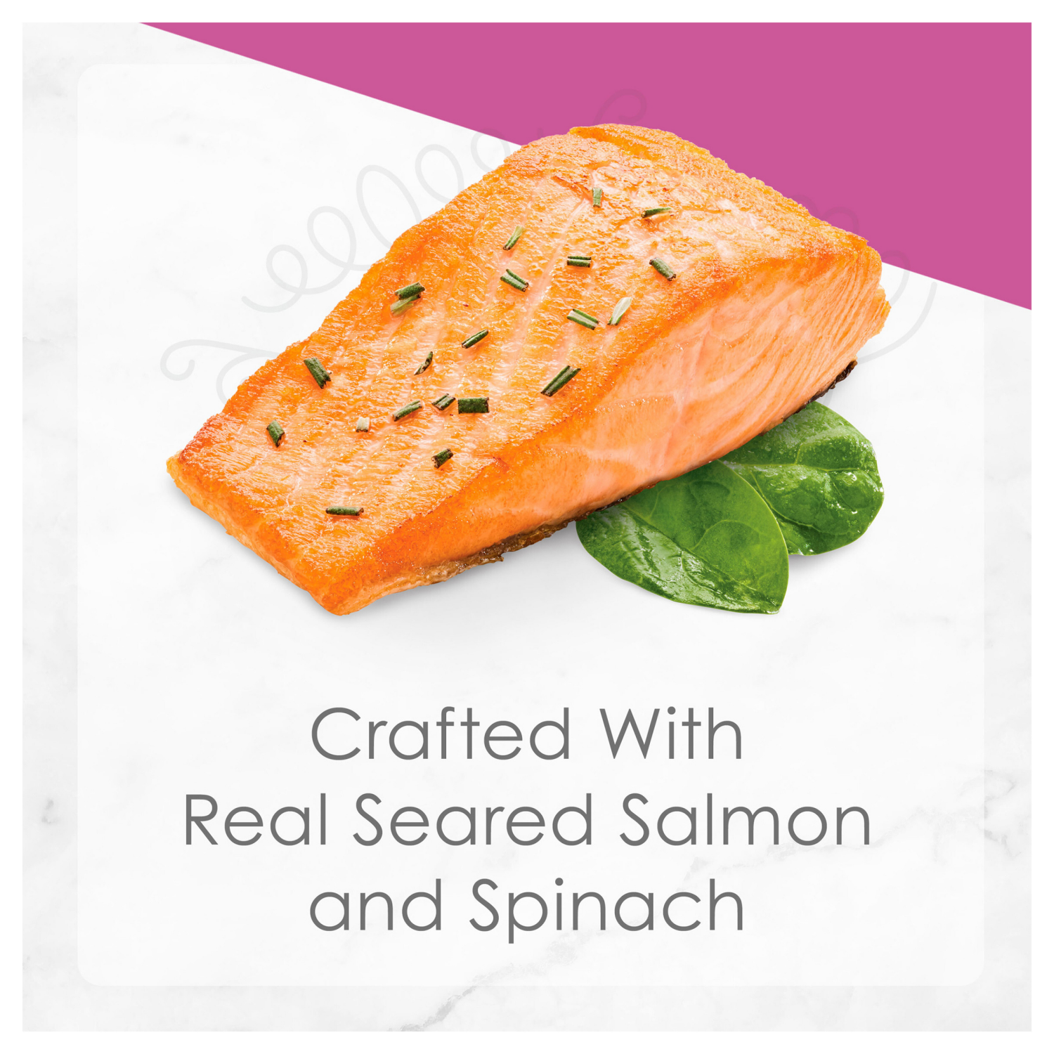 slide 2 of 5, Fancy Feast Purina Fancy Feast Gourmet Gravy Wet Cat Food, Petites Seared Salmon With Spinach Entree - 2.8 oz. Tub, 2 ct