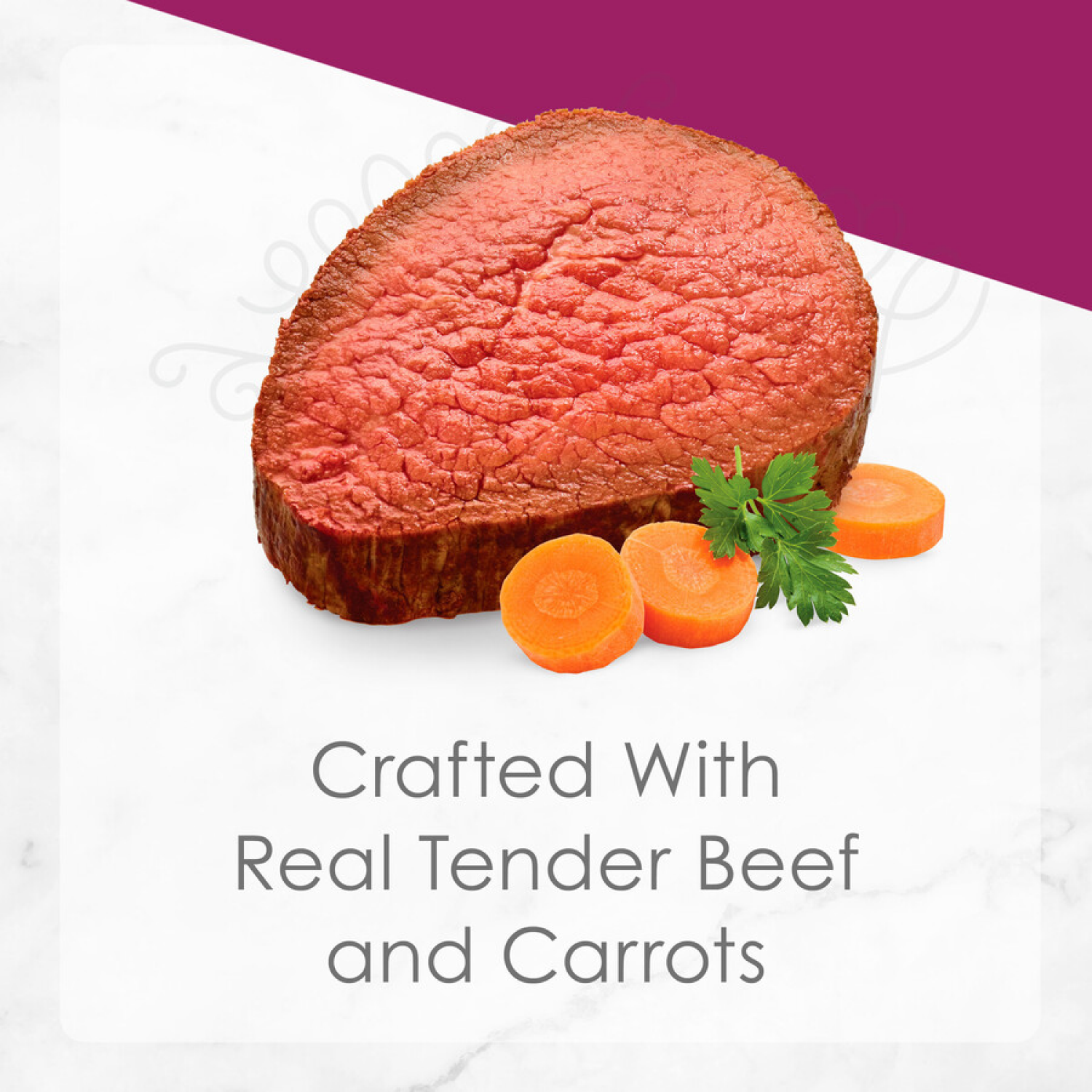 slide 3 of 5, Fancy Feast Purina Fancy Feast Gourmet Gravy Wet Cat Food, Petites Tender Beef With Carrots Entree - 2.8 oz. Tub, 2 ct