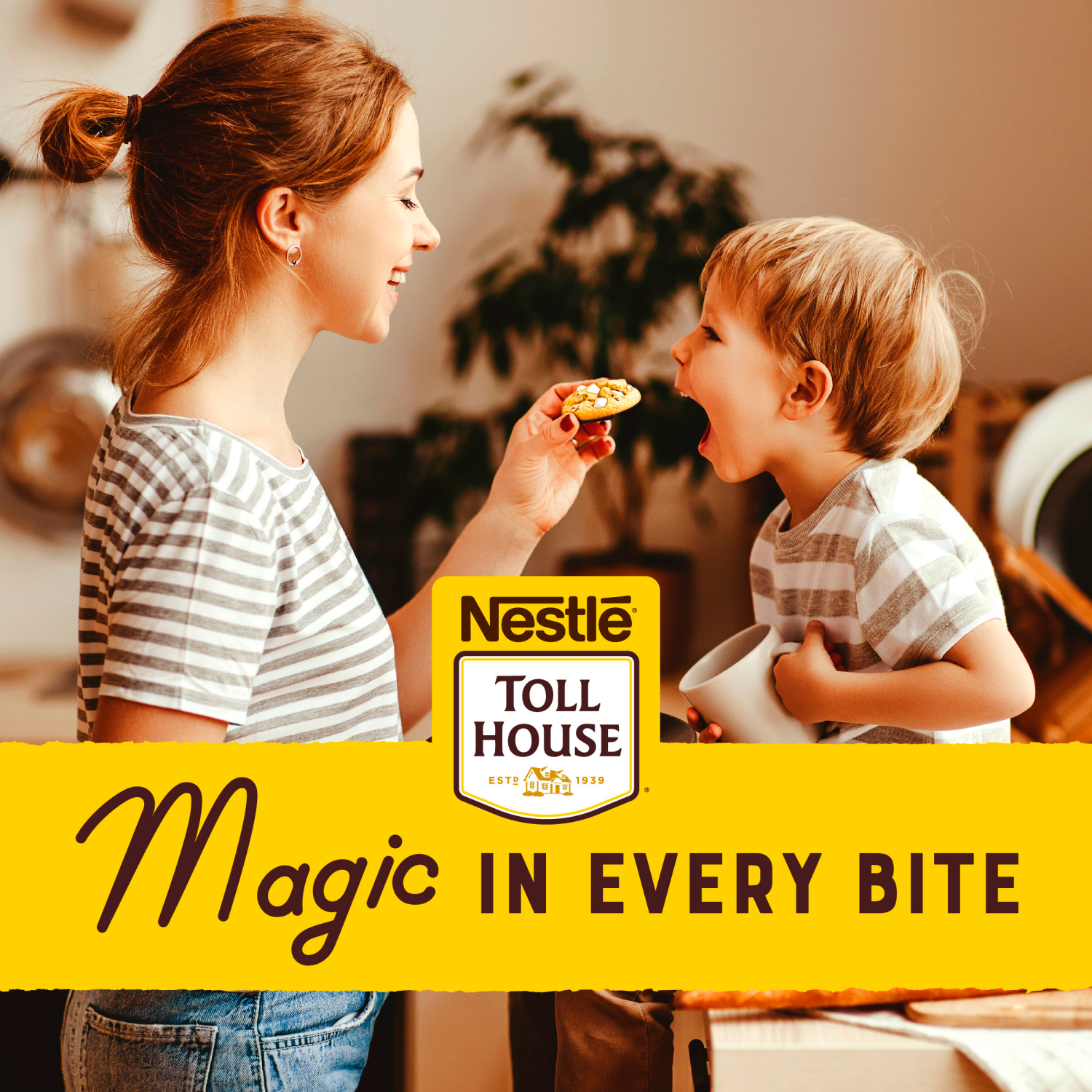 slide 7 of 8, Toll House White Chip Macadamia Nut Cookie Dough 16 oz., 16 oz