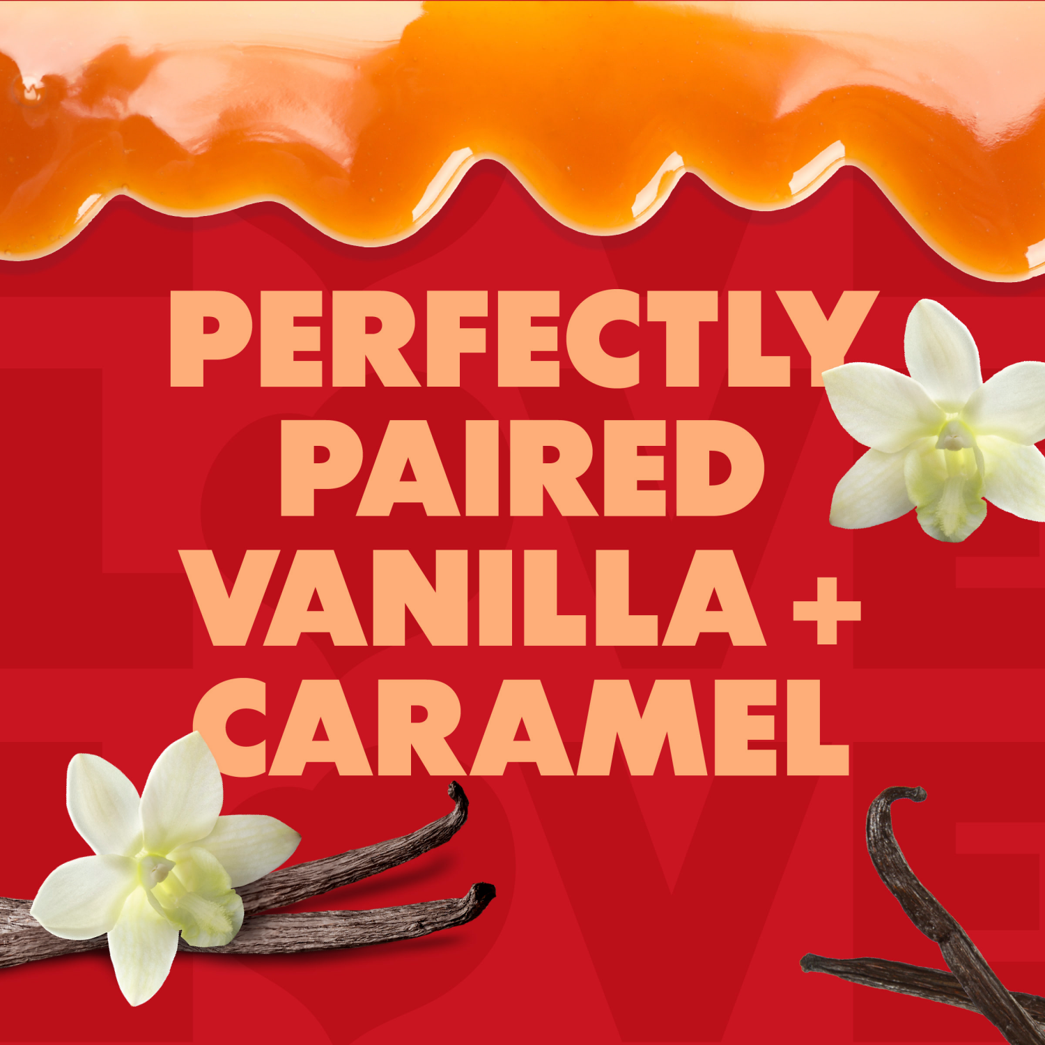 slide 6 of 8, Coffee mate Vanilla Caramel Liquid Coffee Creamer 32 fl oz., 32 fl oz