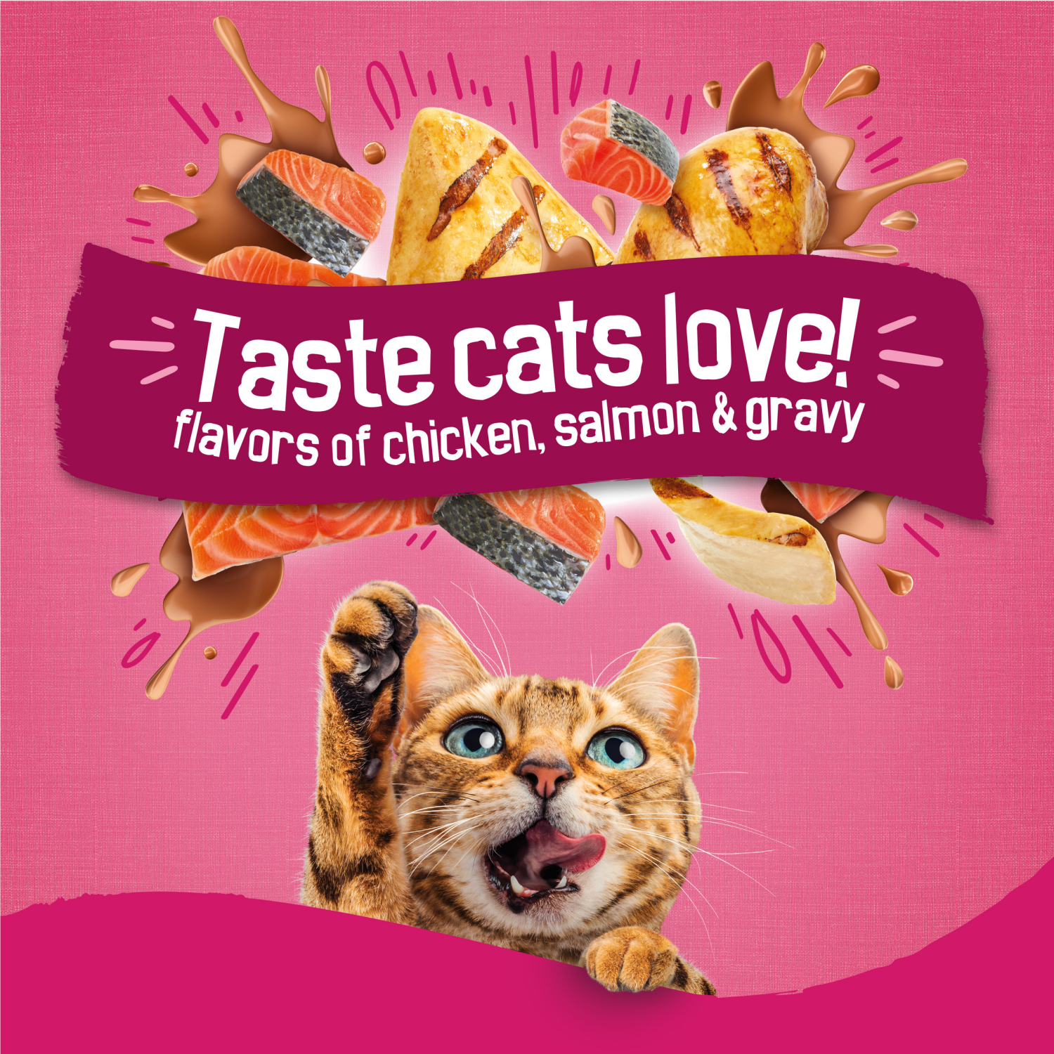 slide 4 of 8, Purina Friskies Dry Cat Food Gravy Swirl'd With Flavors of Chicken, Salmon and Gravy, 50.4 oz