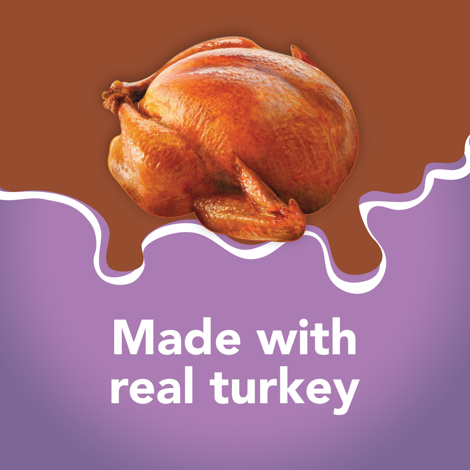 slide 2 of 5, Friskies Purina Friskies Wet Cat Food Gravy Pate, Extra Gravy Pate With Turkey in Savory Gravy - 5.5 oz. Can, 5.5 oz