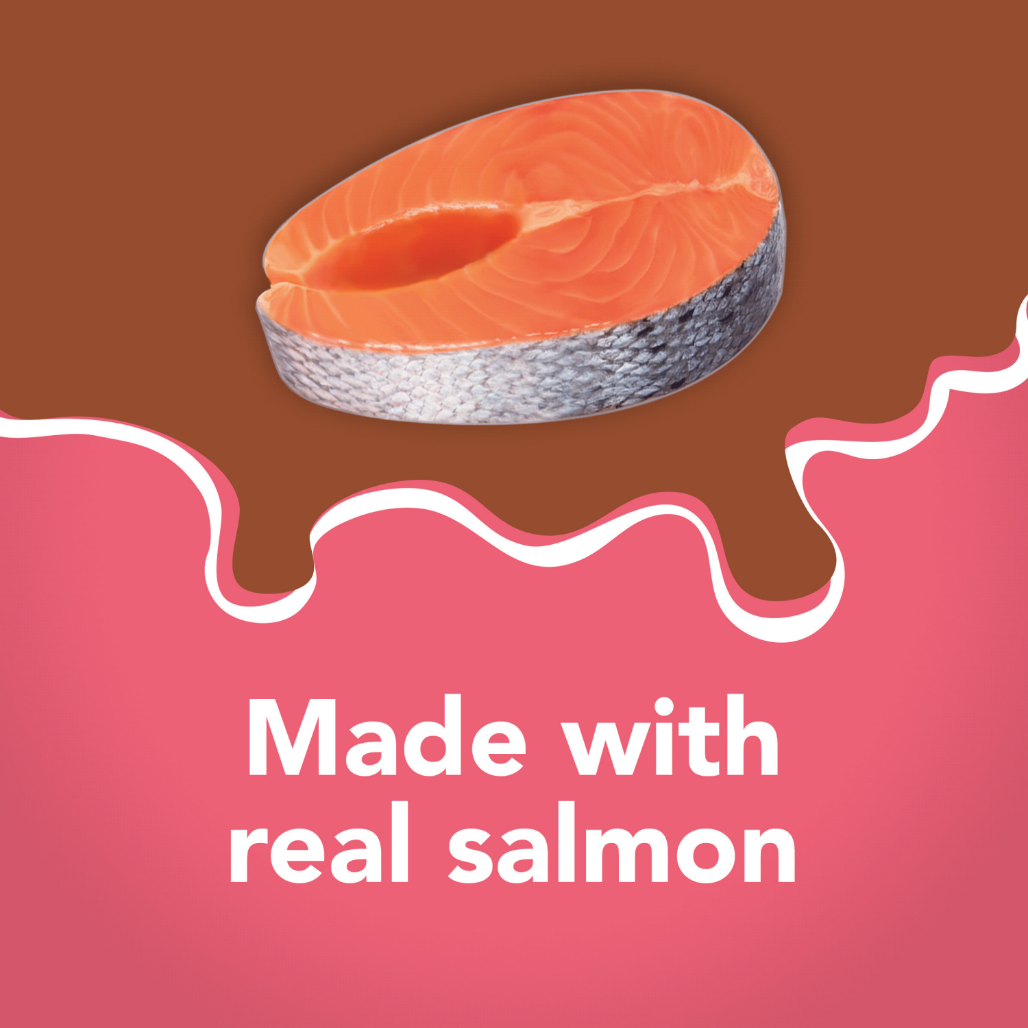 slide 2 of 5, Friskies Purina Friskies Wet Cat Food Extra Gravy Pate With Salmon in Savory Gravy - 5.5 oz. Can, 5.5 oz