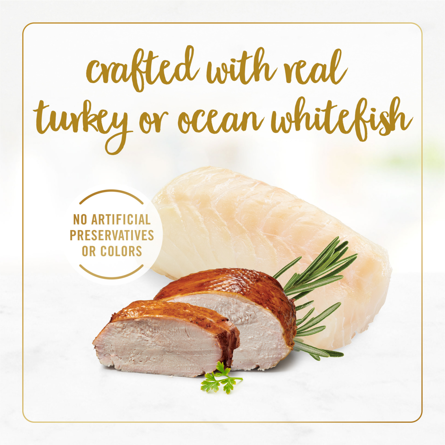 slide 4 of 8, Fancy Feast Purina Fancy Feast Grain Free Pate Wet Kitten Food Variety Pack, Kitten Classic Pate Collection Turkey & Whitefish - (12) 3 oz. Cans, 2.25 lb