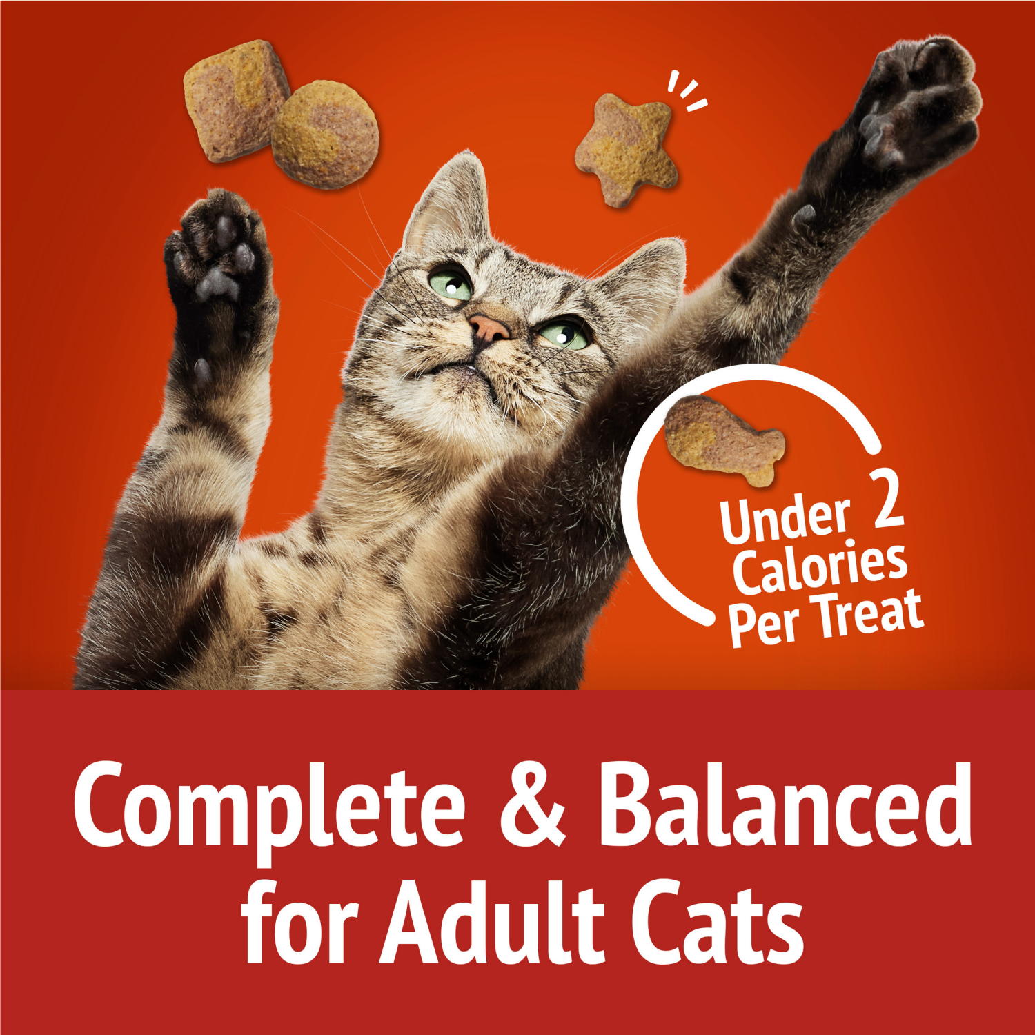 slide 4 of 5, Purina Friskies Cat Treats, Party Mix Gravy-licious Crunch Chicken and Gravy Flavors, 2.1 oz