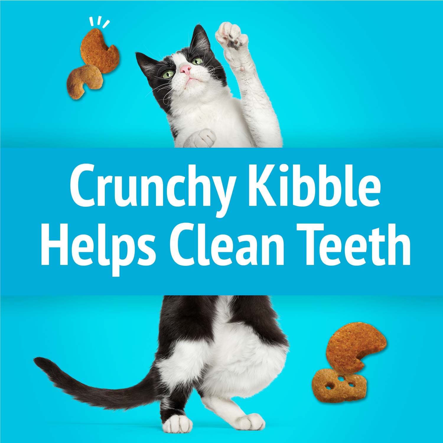 slide 4 of 5, Purina Friskies Cat Treats, Party Mix Lobster & Mac 'N' Cheese Flavors, 2.1 oz