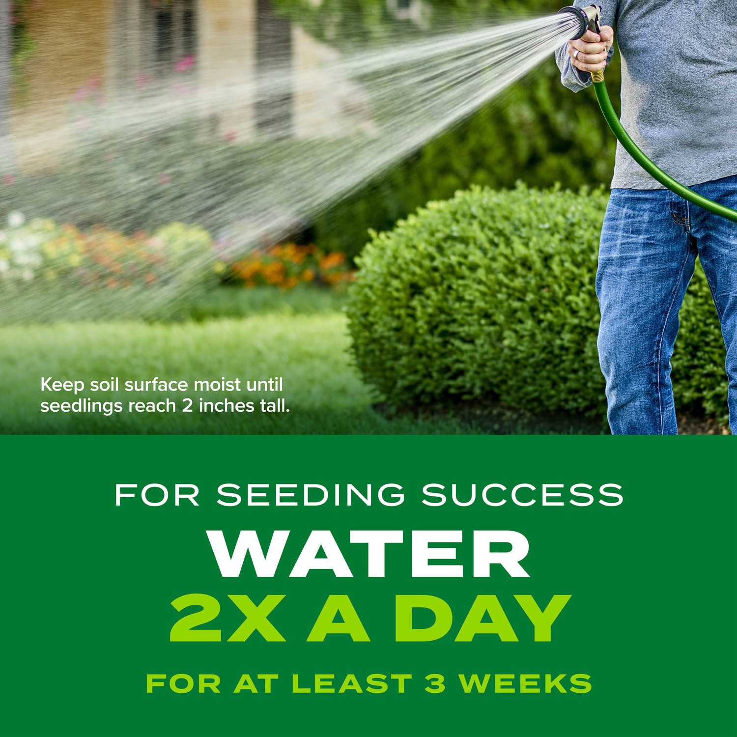 slide 5 of 6, Scotts Turf Builder Rapid Grass Sun Shade 5.6-lb Mixture/Blend Grass Seed, 1 ct