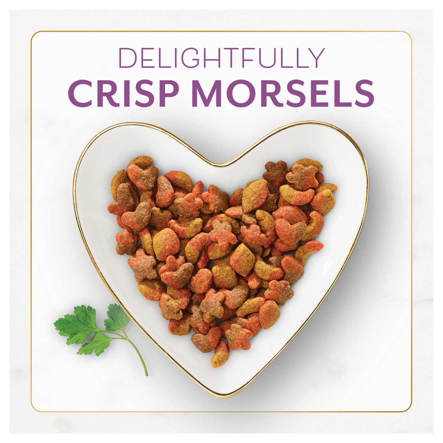 slide 2 of 8, Fancy Feast Purina Fancy Feast Dry Cat Food with Savory Farm-Raised Chicken and Turkey - 16 oz. Bag, 16 oz