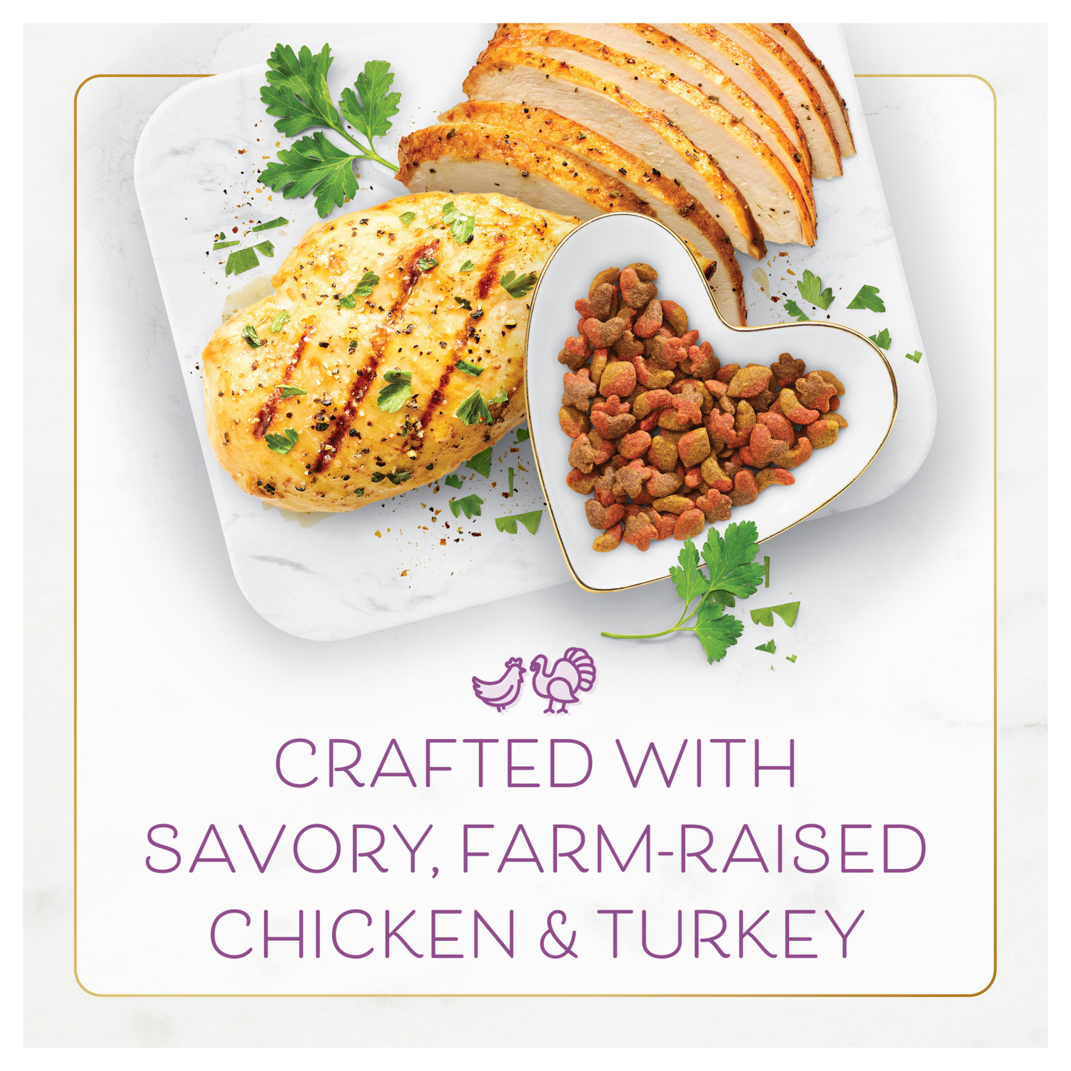 slide 4 of 8, Fancy Feast Purina Fancy Feast Dry Cat Food with Savory Farm-Raised Chicken and Turkey - 16 oz. Bag, 16 oz