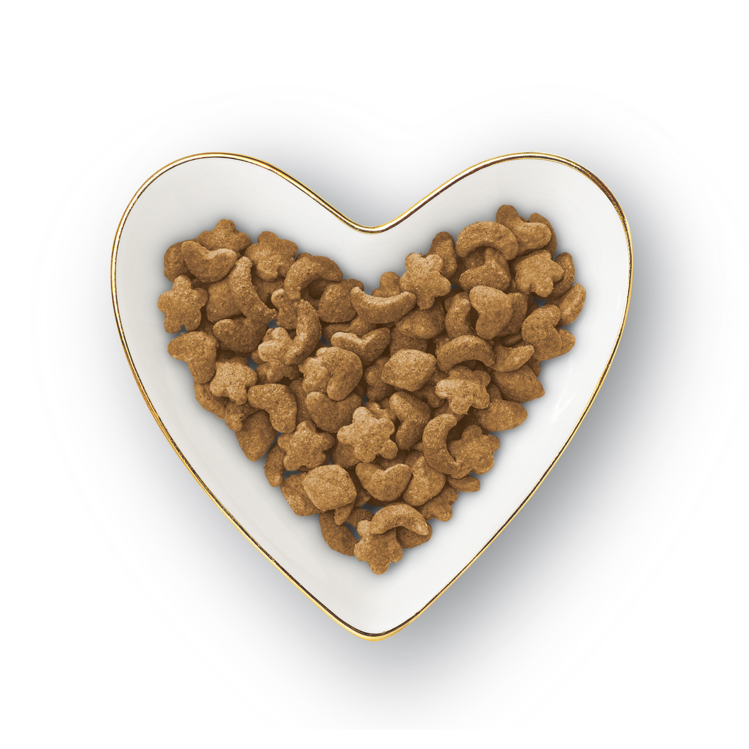 slide 2 of 8, Fancy Feast Purina Fancy Feast Dry Cat Food With Ocean Fish and Salmon - 16 oz. Bag, 16 oz