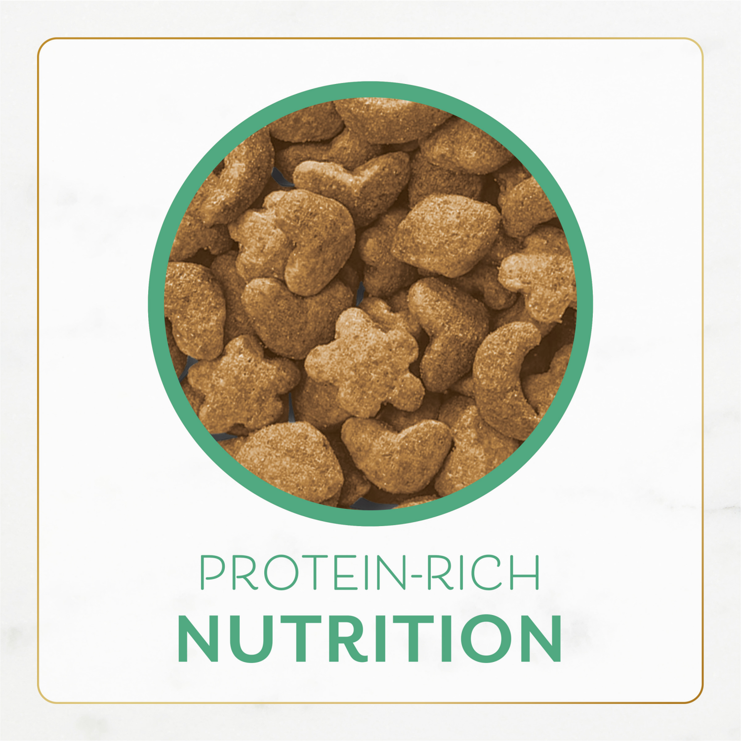 slide 5 of 8, Fancy Feast Dry Cat Food with Ocean Fish and Salmon - 7 lb. Bag, 7 lb