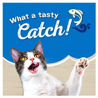 slide 23 of 29, Friskies Dry Cat Food Purina Friskies Ocean Favorites With Natural Salmon Dry Cat Food, 16 lb