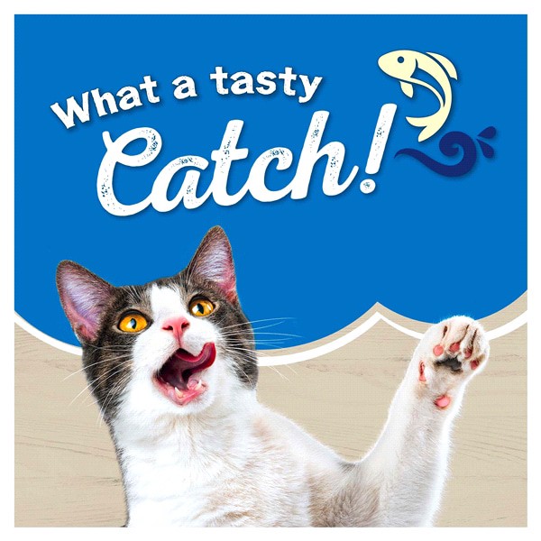 slide 14 of 29, Friskies Dry Cat Food Purina Friskies Ocean Favorites With Natural Salmon Dry Cat Food, 16 lb