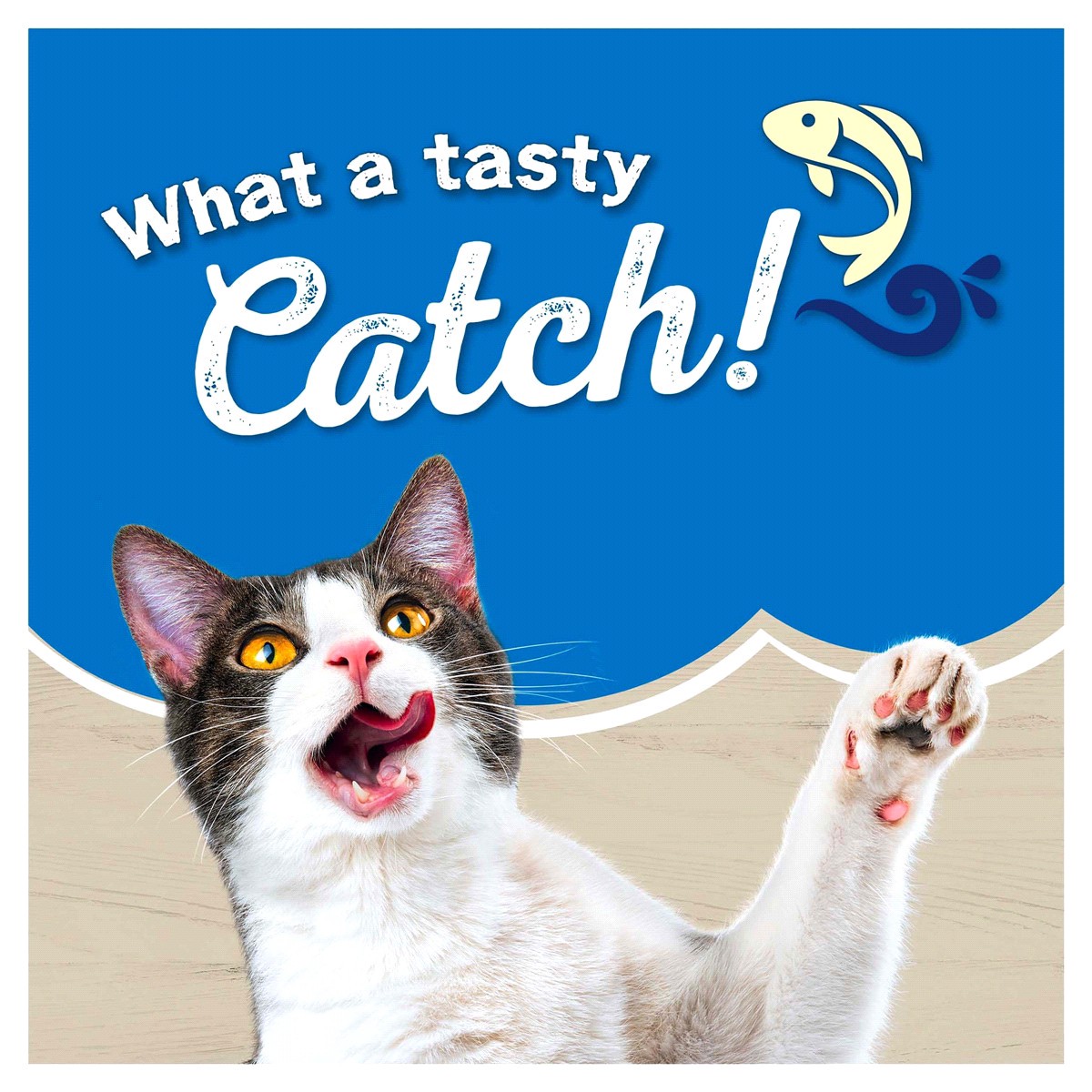 slide 12 of 29, Friskies Dry Cat Food Purina Friskies Ocean Favorites With Natural Salmon Dry Cat Food, 16 lb