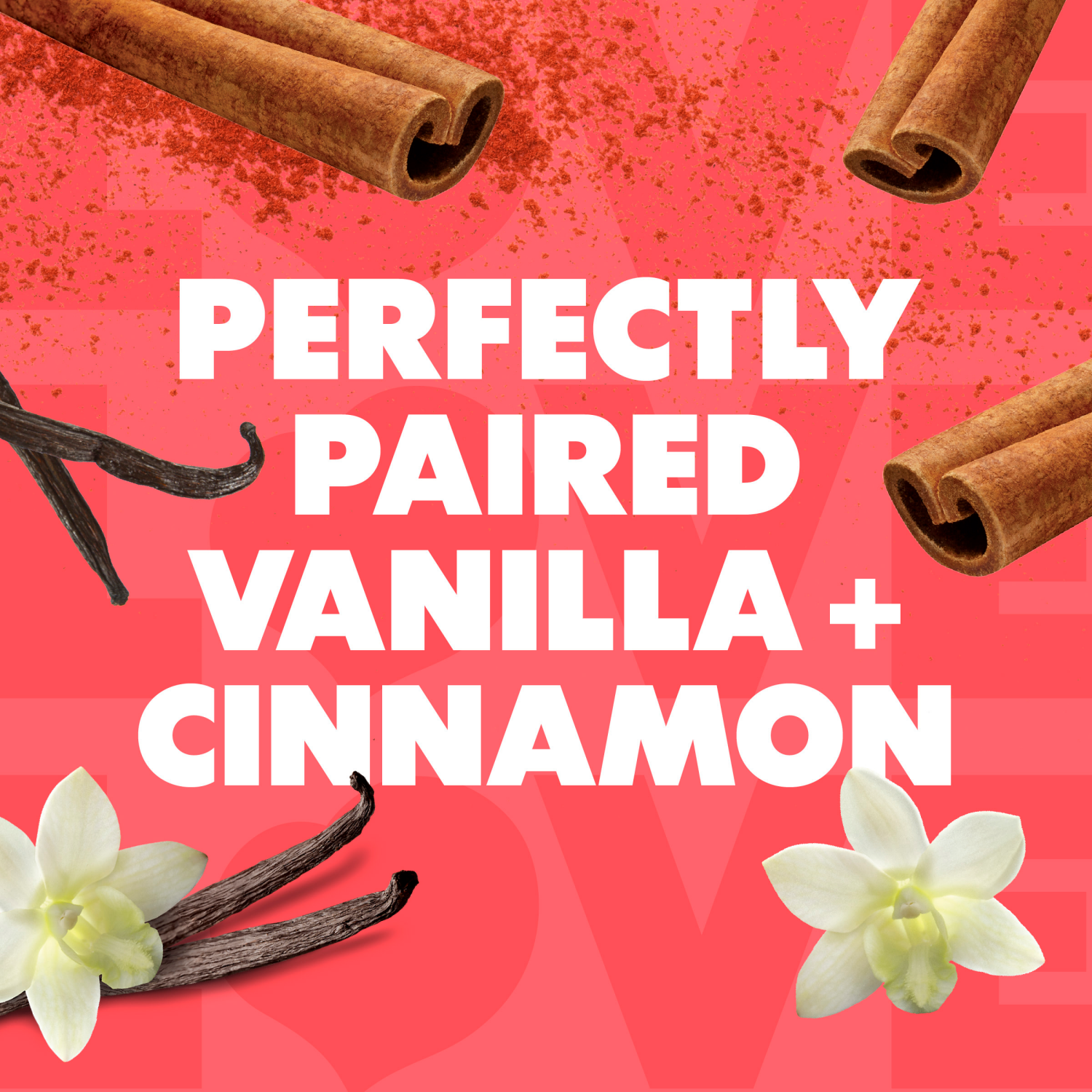 slide 4 of 5, Coffee-Mate Nestle Coffee Mate Cinnamon Vanilla Creme Liquid Coffee Creamer 32 fl oz., 32 fl oz