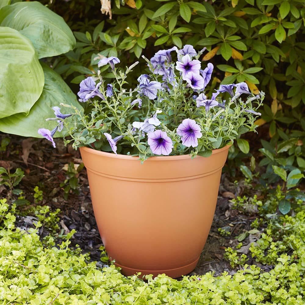 slide 3 of 5, Garden Treasures Round 16.0-in W x 16.0-in L Orange Plastic Indoor/Outdoor Planter, 1 ct