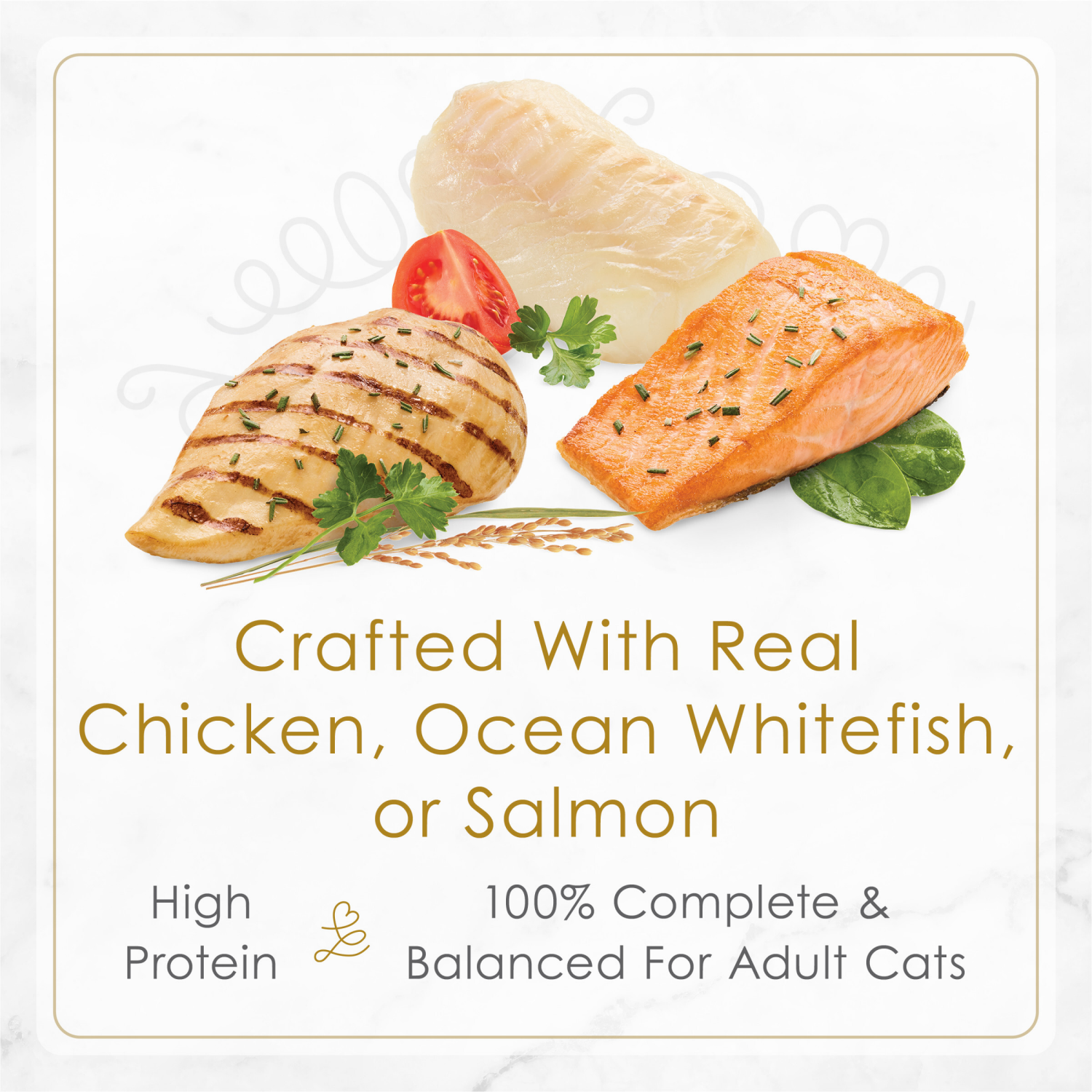 slide 2 of 5, Fancy Feast Purina Fancy Feast Gourmet Wet Cat Food Variety Pack, Petites Gravy Collection, break-apart tubs, 48 servings - (24) 2.8 oz. Tubs, 24 ct