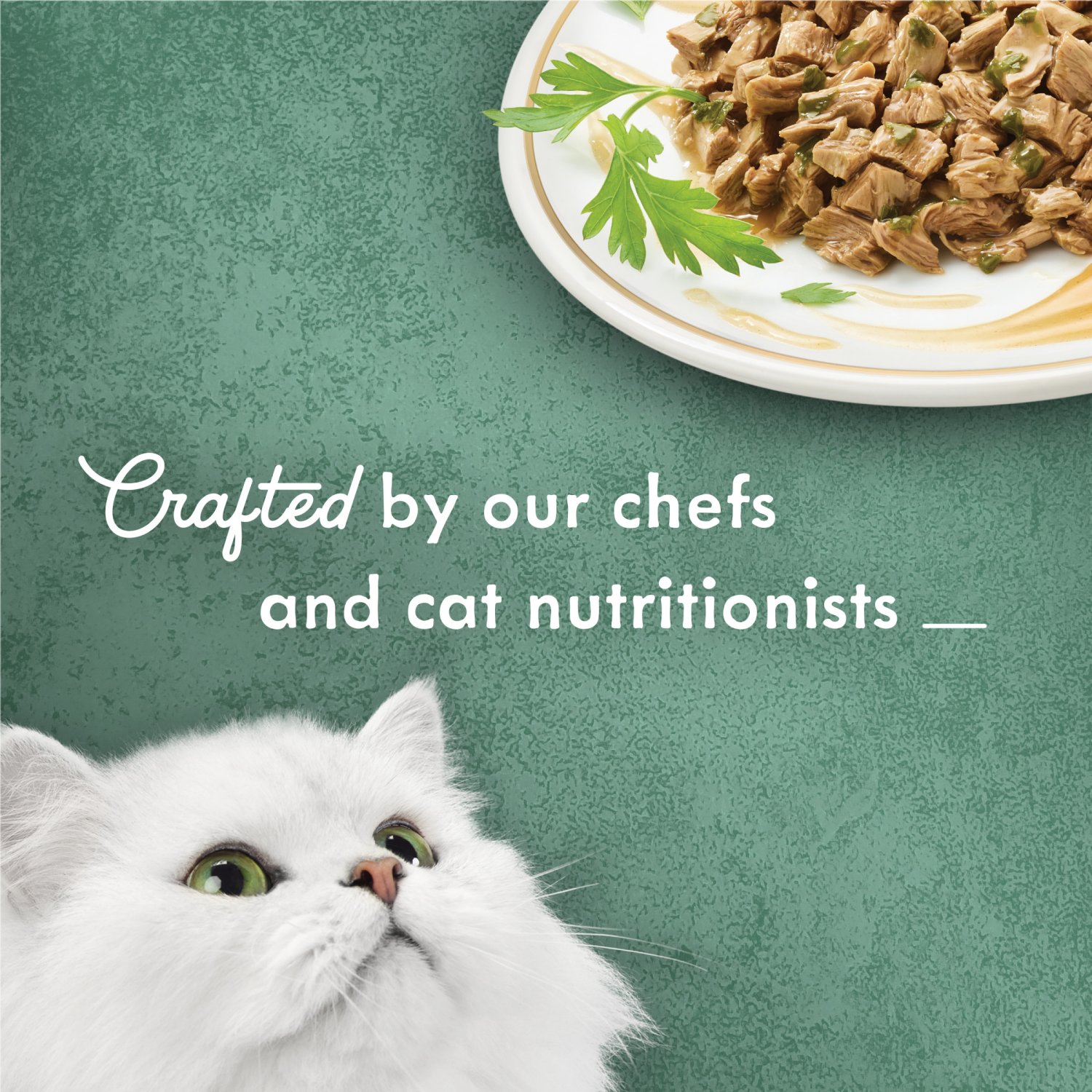 slide 8 of 8, Purina Fancy Feast Wet Cat Food Medleys Turkey Florentine With Spinach in a Light Cat Food Broth, 3 oz
