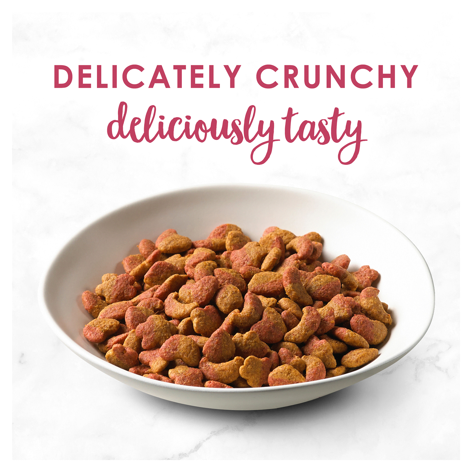 slide 2 of 5, Fancy Feast Purina Fancy Feast Dry Cat Food Filet Mignon Flavor With Seafood and Shrimp - 16 oz. Bag, 1 lb