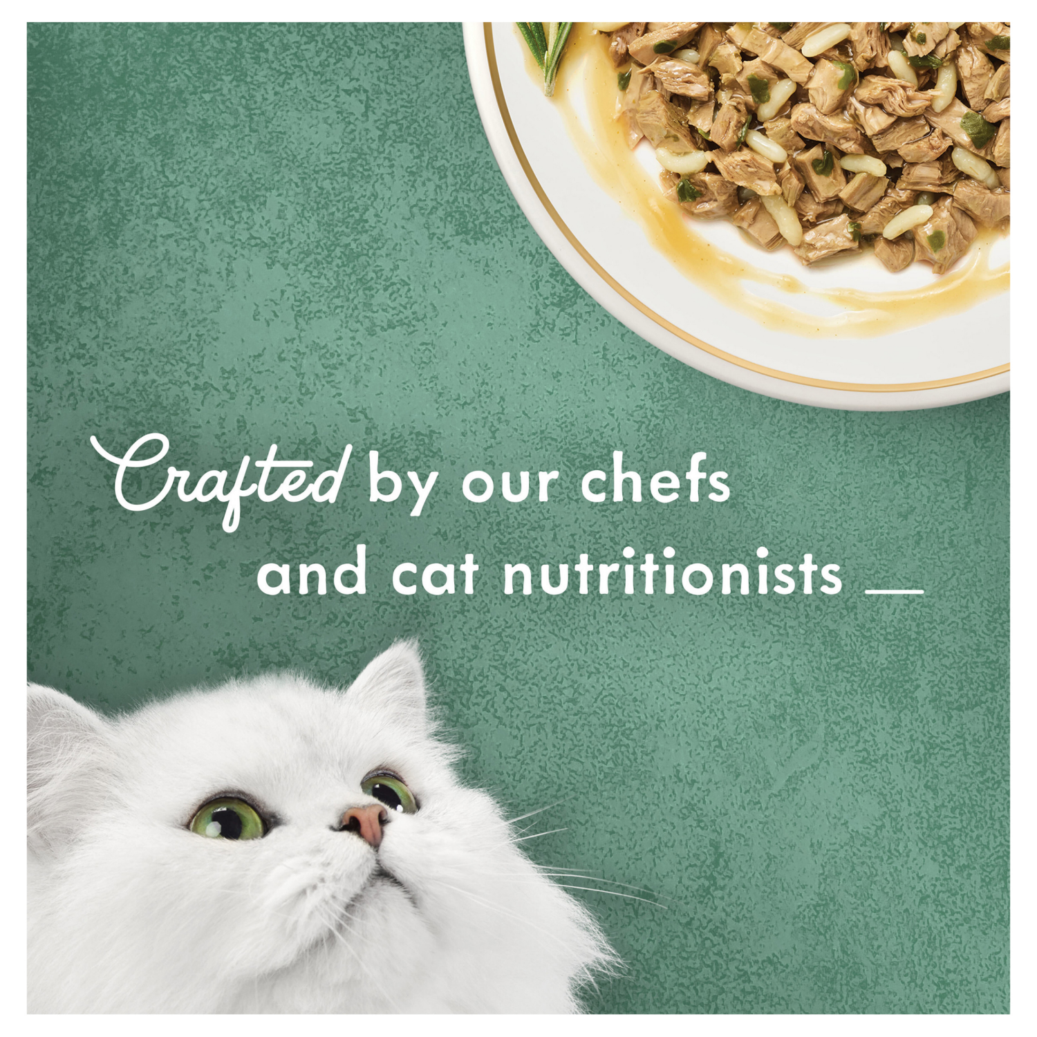 slide 3 of 5, Fancy Feast Purina Fancy Feast Wet Cat Food, Medleys White Meat Chicken Tuscany With Long Grain Rice & Greens - 3 oz. Can, 3 oz