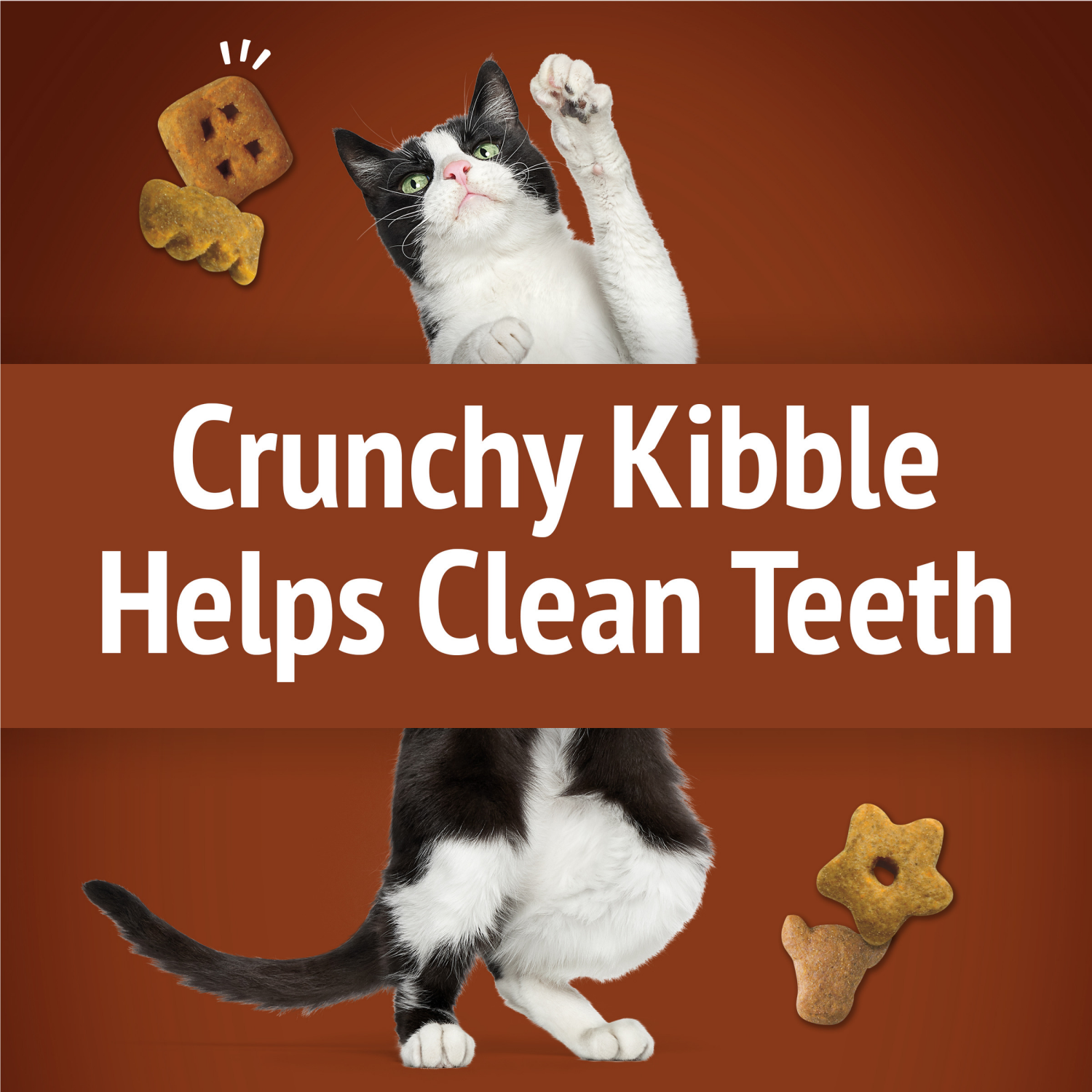 slide 4 of 5, Friskies Purina Friskies Cat Treats, Party Mix Wild West Crunch - 2.1 oz. Pouch, 2.1 oz