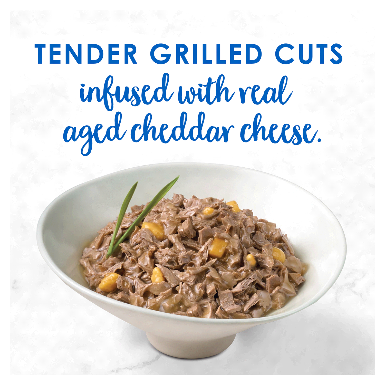 slide 2 of 5, Fancy Feast Purina Fancy Feast Gravy Wet Cat Food, Delights Grilled Whitefish & Cheddar Cheese Feast in Gravy - 3 oz. Can, 3 oz