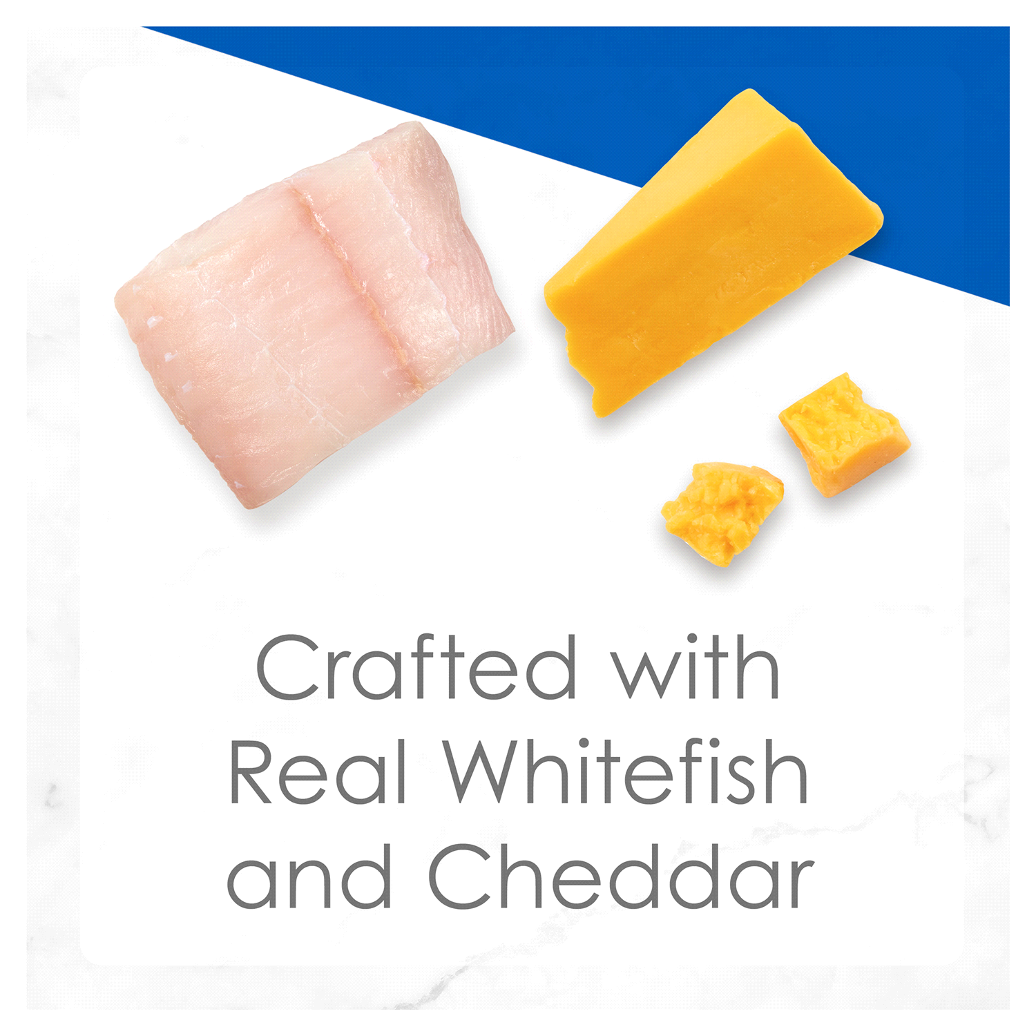 slide 3 of 5, Fancy Feast Purina Fancy Feast Gravy Wet Cat Food, Delights Grilled Whitefish & Cheddar Cheese Feast in Gravy - 3 oz. Can, 3 oz