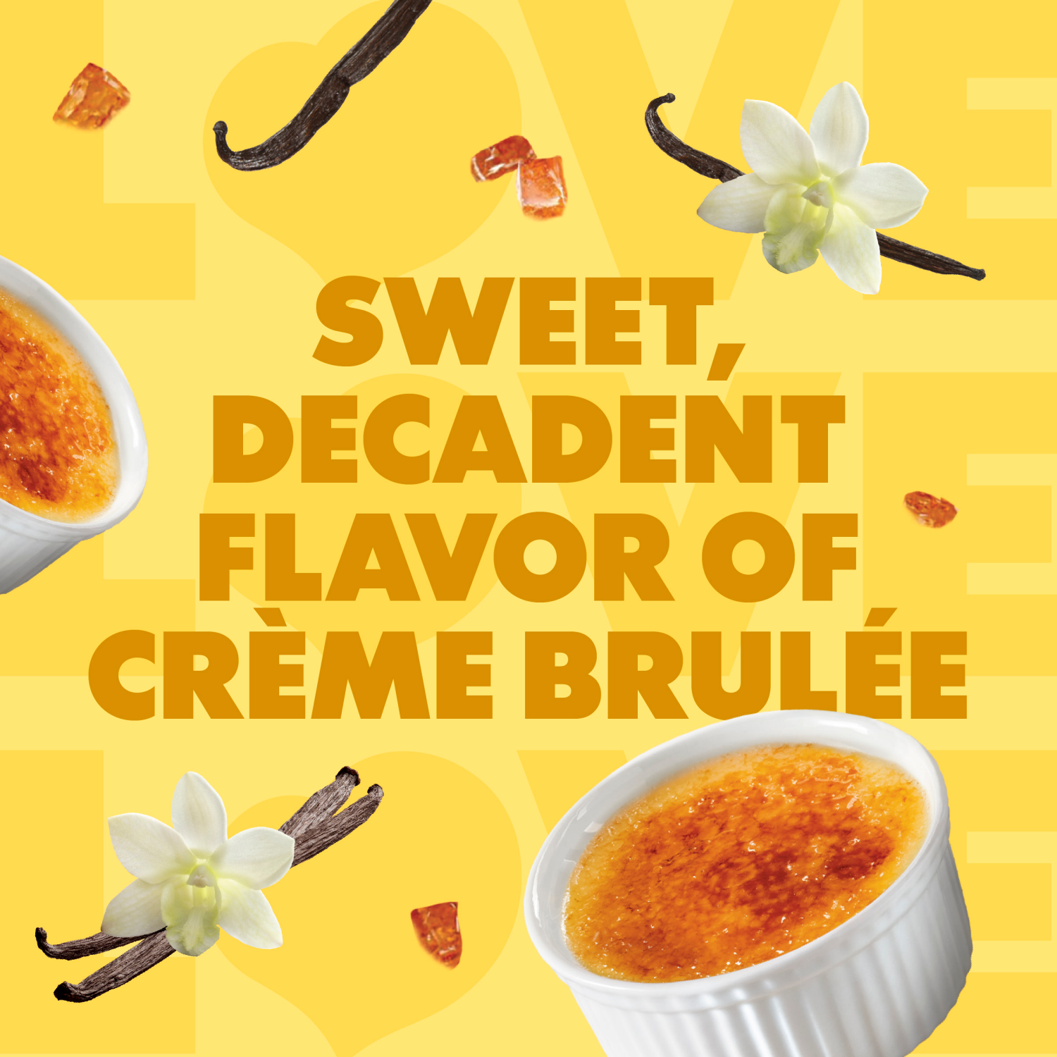 slide 6 of 8, Coffee-Mate Coffee mate Crème Brulee Flavored Coffee Creamer, Non-Dairy, Gluten-Free, 63 Servings, 32 fl oz
