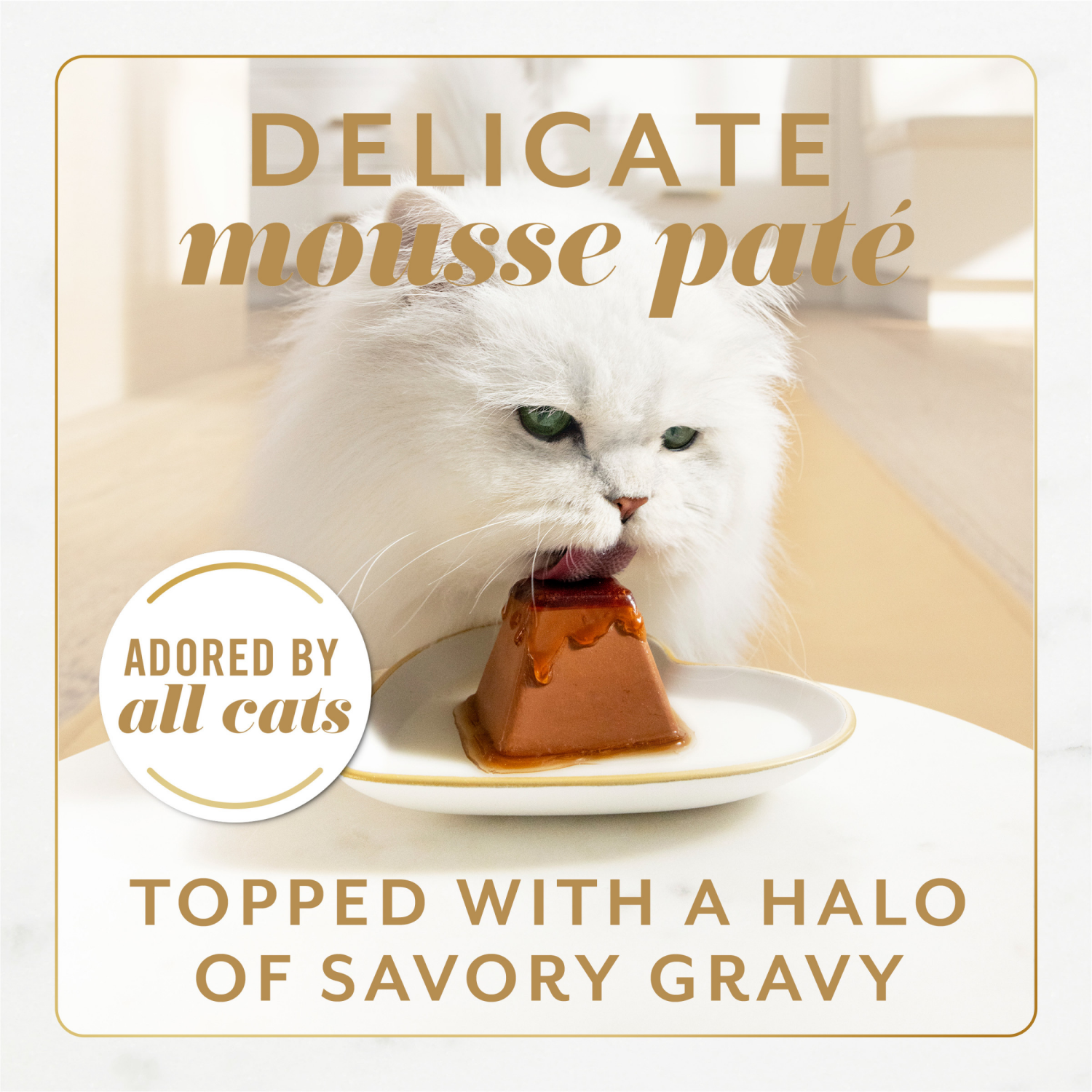 slide 6 of 8, Fancy Feast Gems Pate Cat Food Mousse and a Halo of Savory Gravy Wet Cat Food Variety Pack - (12) 4 oz. Boxes, 24 ct
