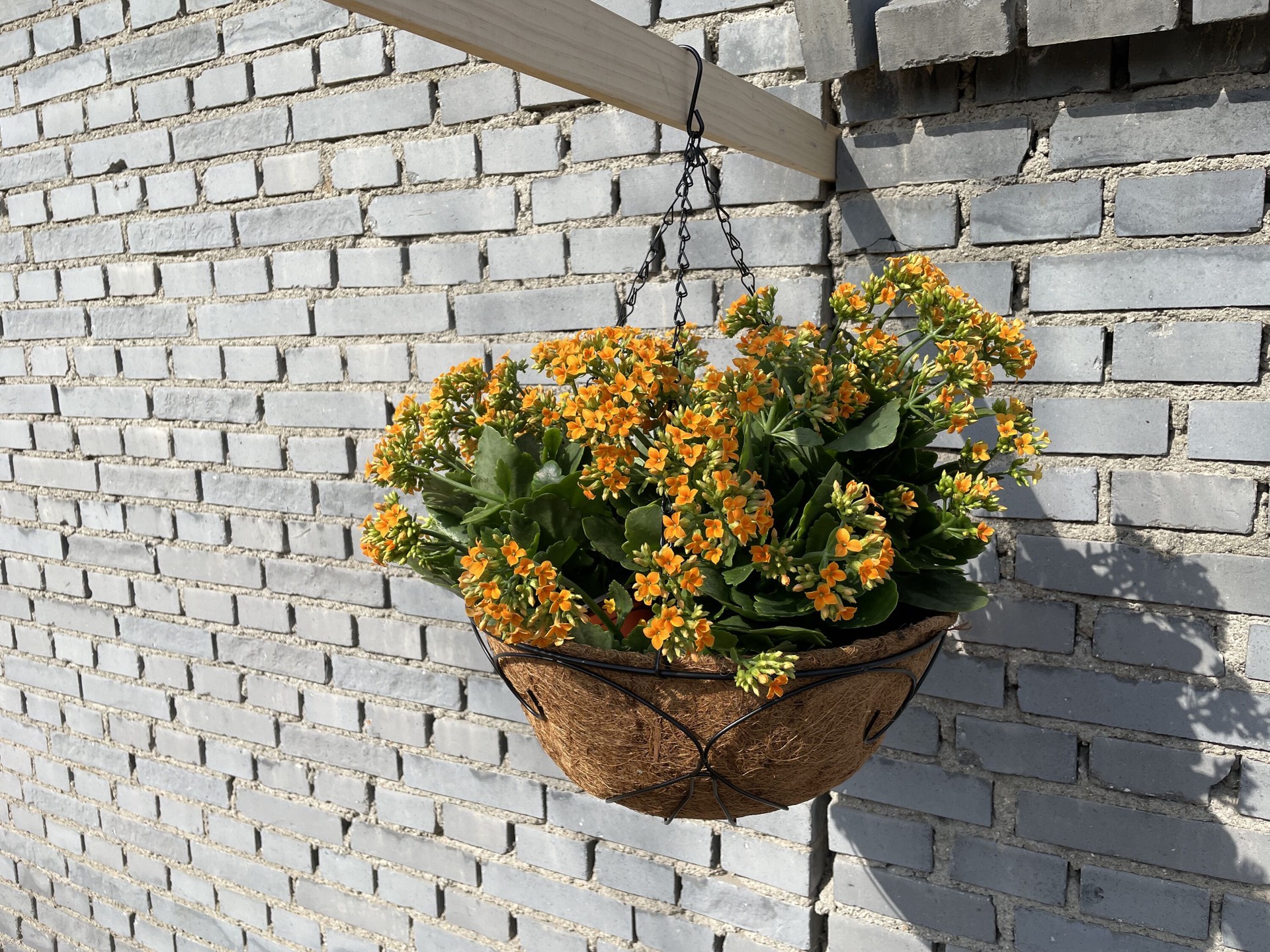 slide 2 of 5, Style Selections Round 14.0-in W x 22.92-in H x Black Metal Indoor/Outdoor Hanging planter Stand Included, 1 ct