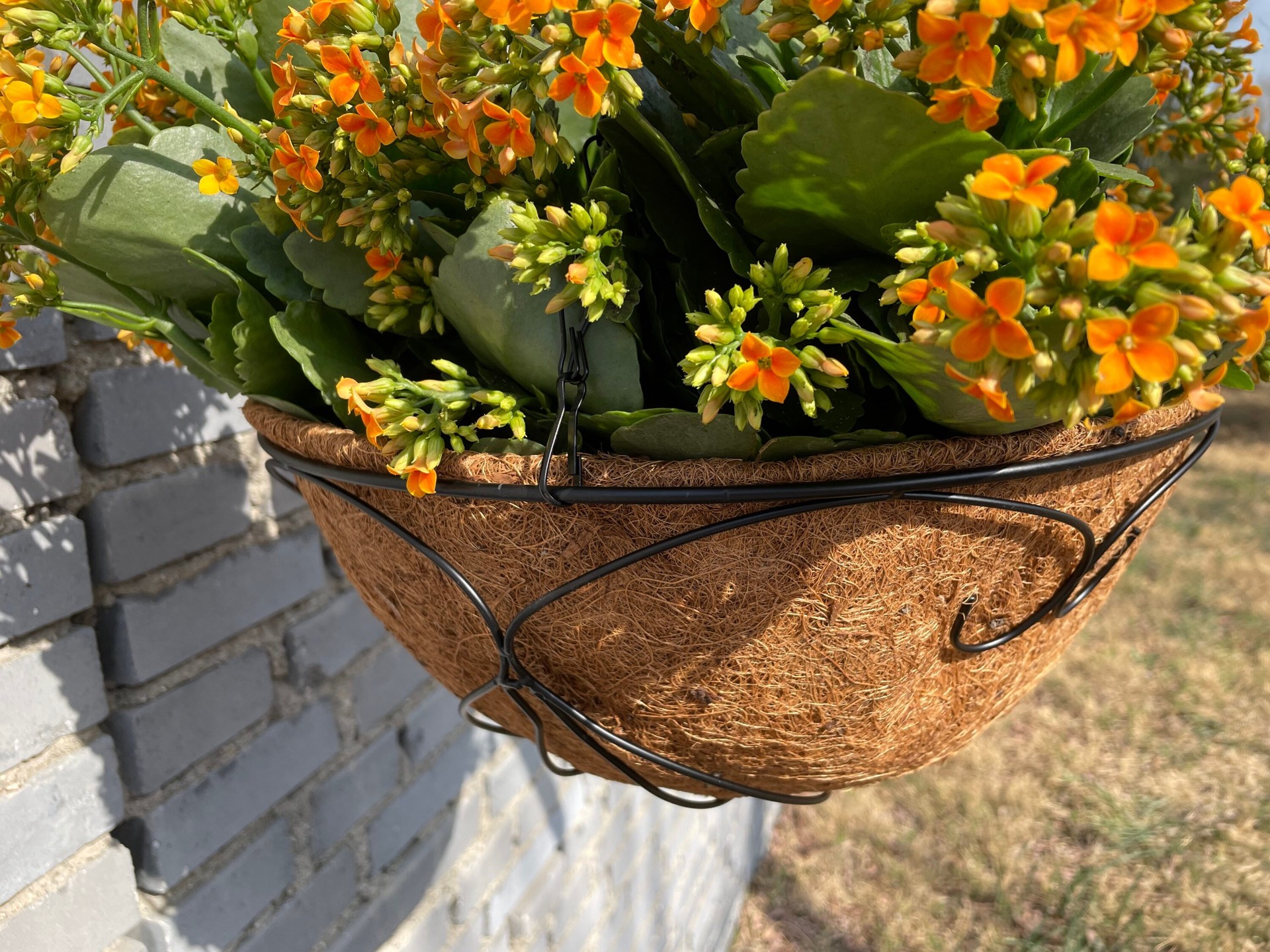 slide 4 of 5, Style Selections Round 14.0-in W x 22.92-in H x Black Metal Indoor/Outdoor Hanging planter Stand Included, 1 ct