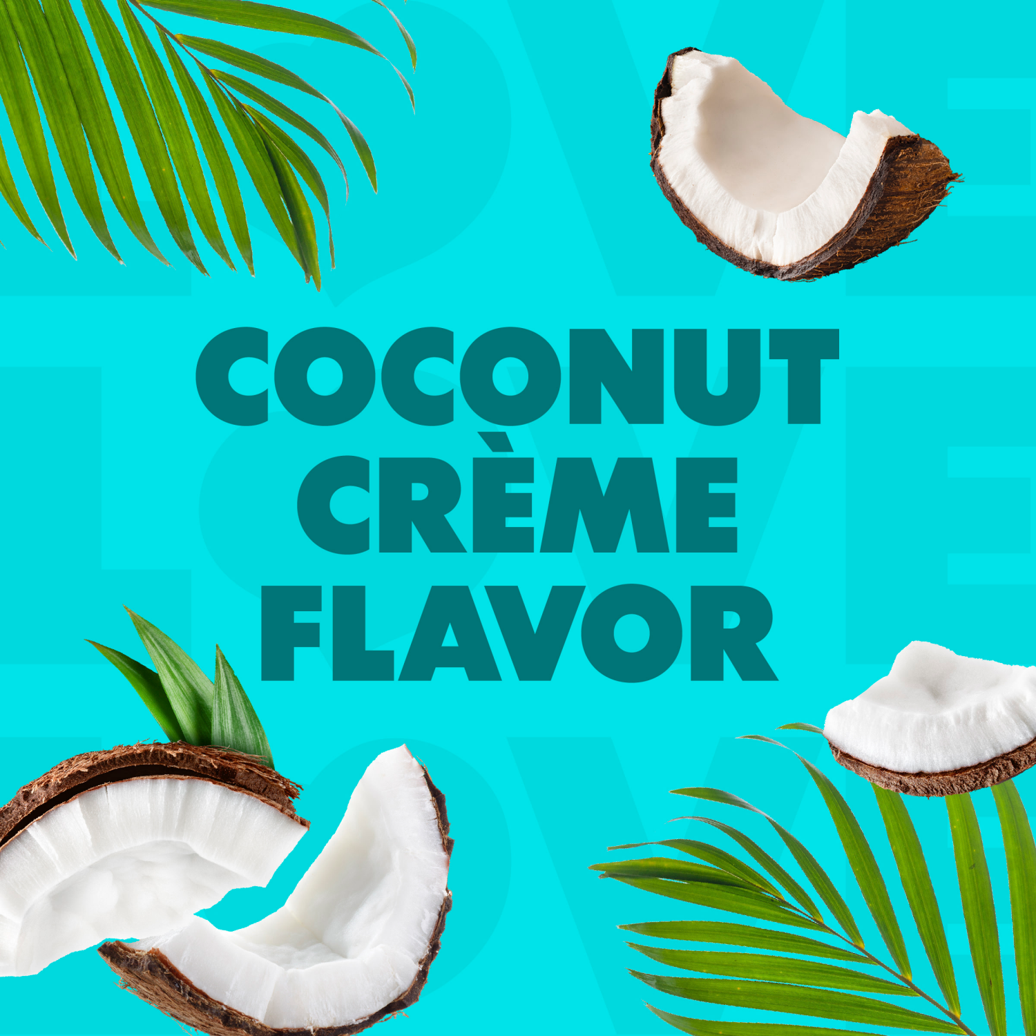 slide 4 of 5, Coffee-Mate Nestle Coffee Mate Coconut Creme Liquid Coffee Creamer 32 fl oz., 32 fl oz