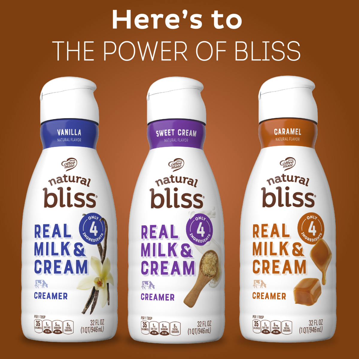 slide 13 of 29, Coffee mate Classic Caramel Liquid Coffee Creamer 32 fl oz., 32 fl oz