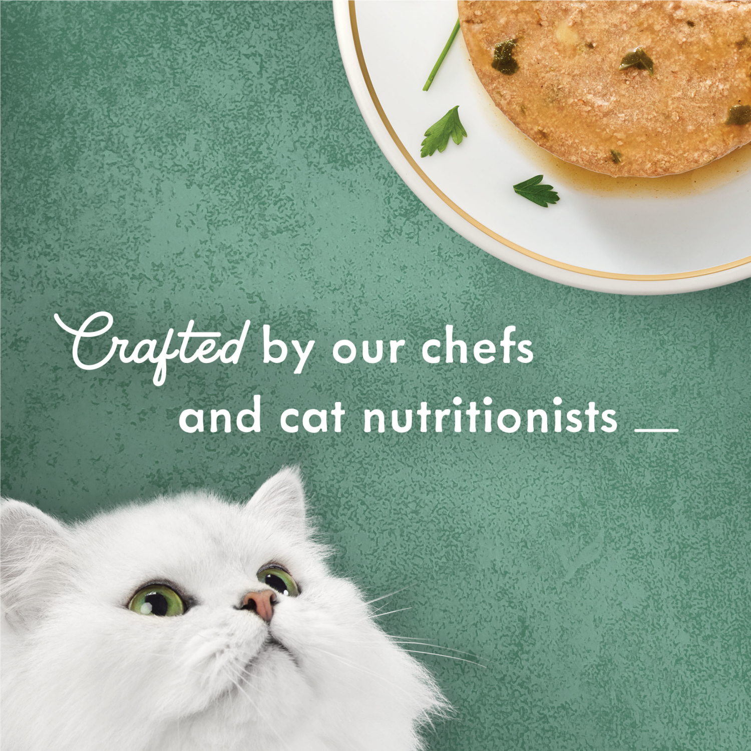 slide 4 of 8, Fancy Feast Medleys White Meat Chicken Florentine Pate Cat Food, 3 oz