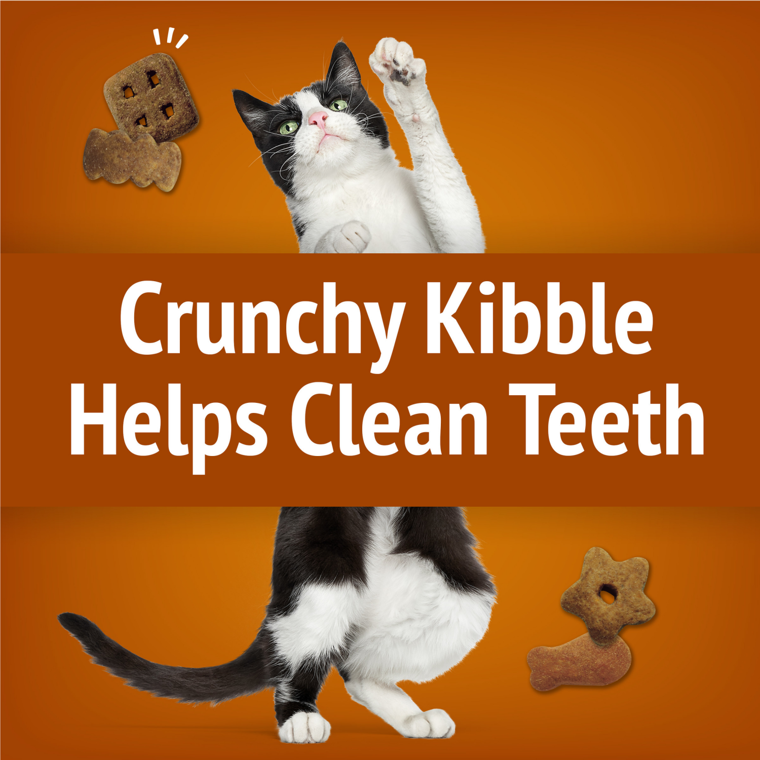 slide 4 of 5, Friskies Purina Friskies Cat Treats, Party Mix Chicken Lovers Crunch - 20 oz. Canister, 20 oz