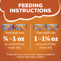 slide 3 of 29, Friskies Purina Friskies Gravy Wet Cat Food Variety Pack, TurChicken Extra Gravy Chunky, Meaty Bits & Shreds, 13.75 lb