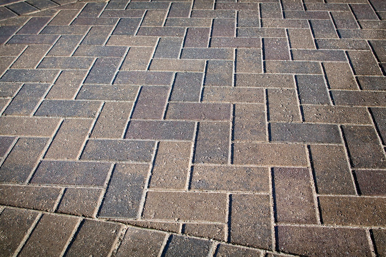 slide 3 of 6, Belgard 8-in L x 4-in W x 2.36-in H Rectangle Slate Concrete Paver, 1 ct