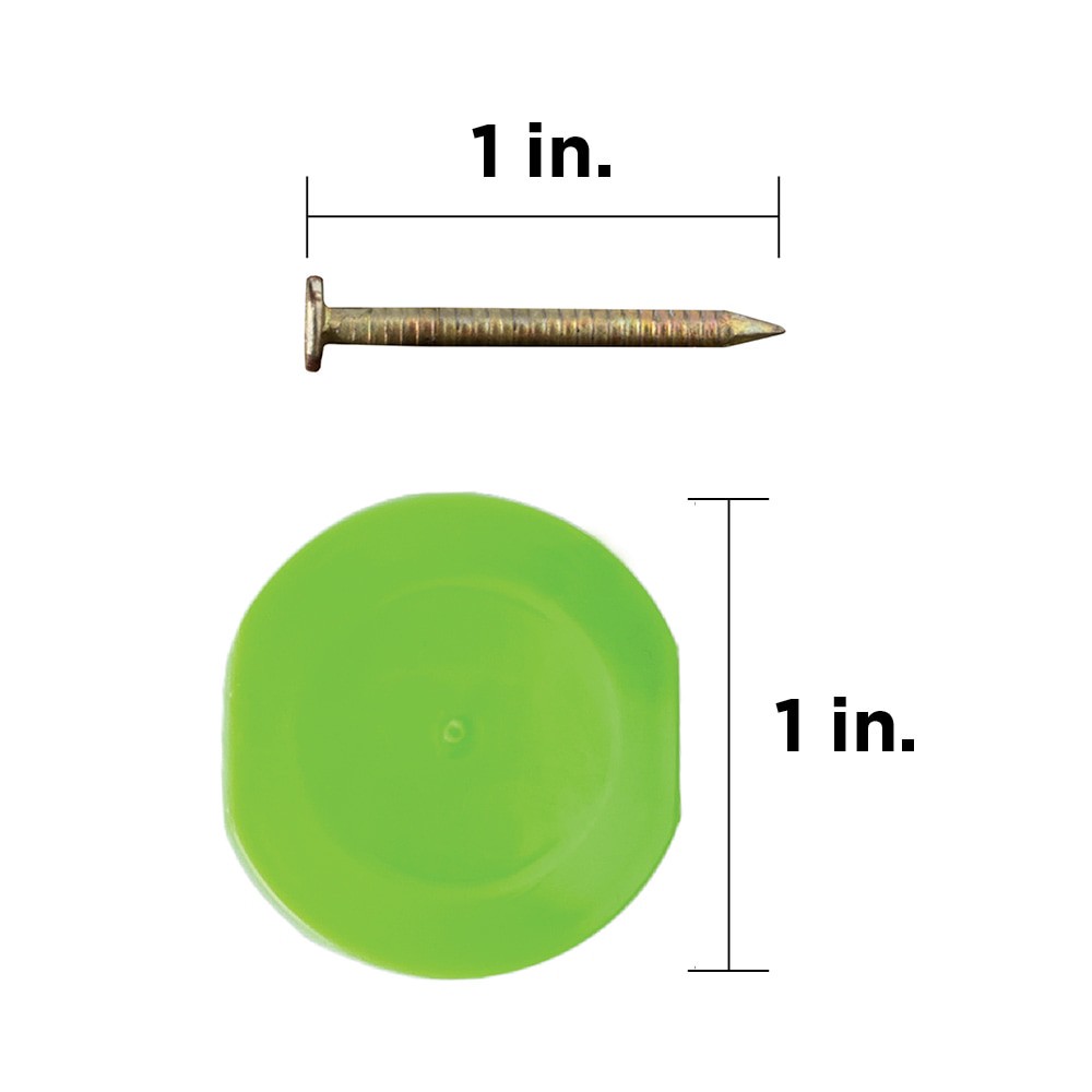 slide 3 of 6, STINGER 1-in 12 -Gauge Electro-Galvanized Plastic Cap Nails ( 2000 -Per Box ), 1 ct